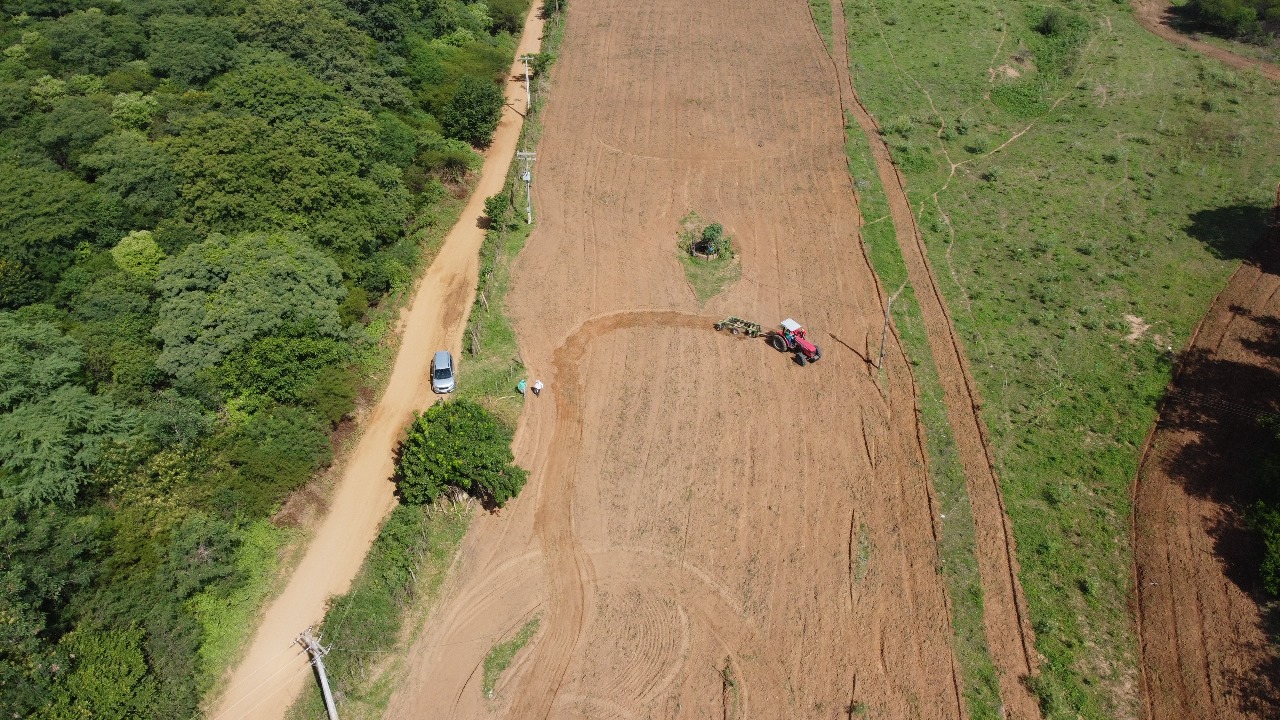 Prefeitura de Pedra Branca Impulsiona Agricultura com Corte de Terra Gratuito e Ampla Disponibilidade de Máquinas Agrícolas