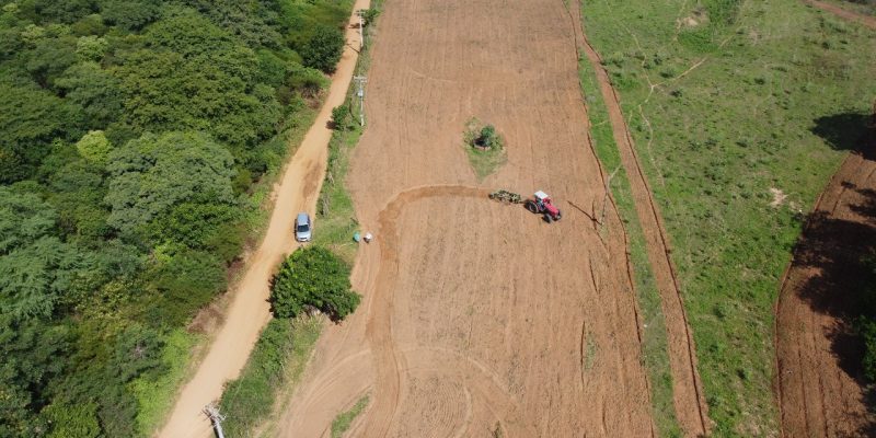 agricultura